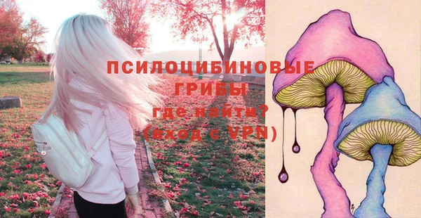 прущая мука Карталы