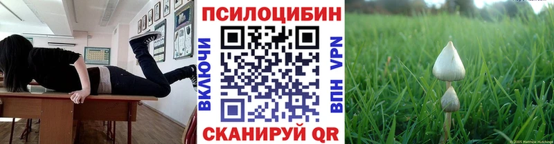 Псилоцибиновые грибы MAGIC MUSHROOMS  Купить где  Кирс 